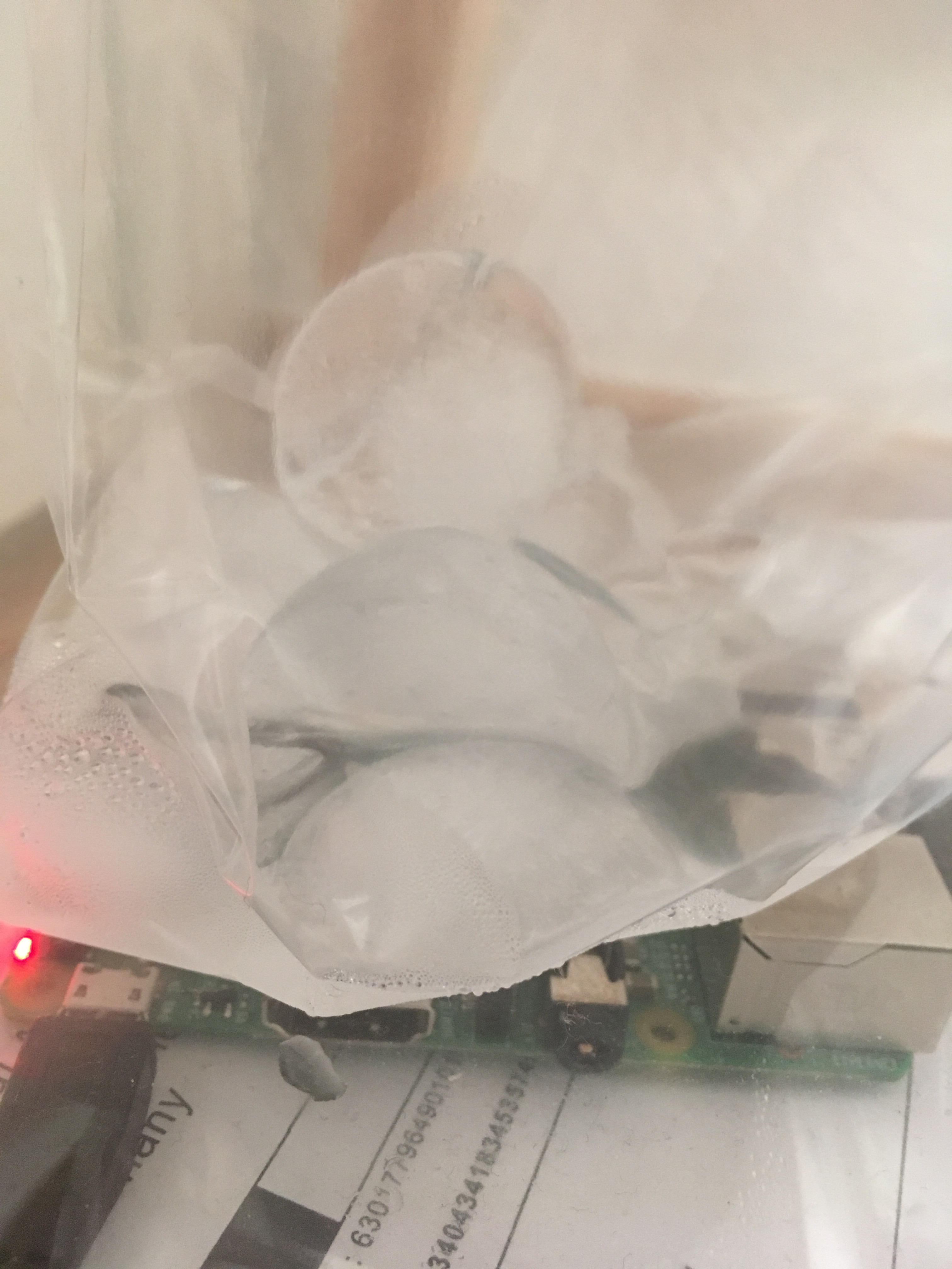 Raspberry Pi with ice on top